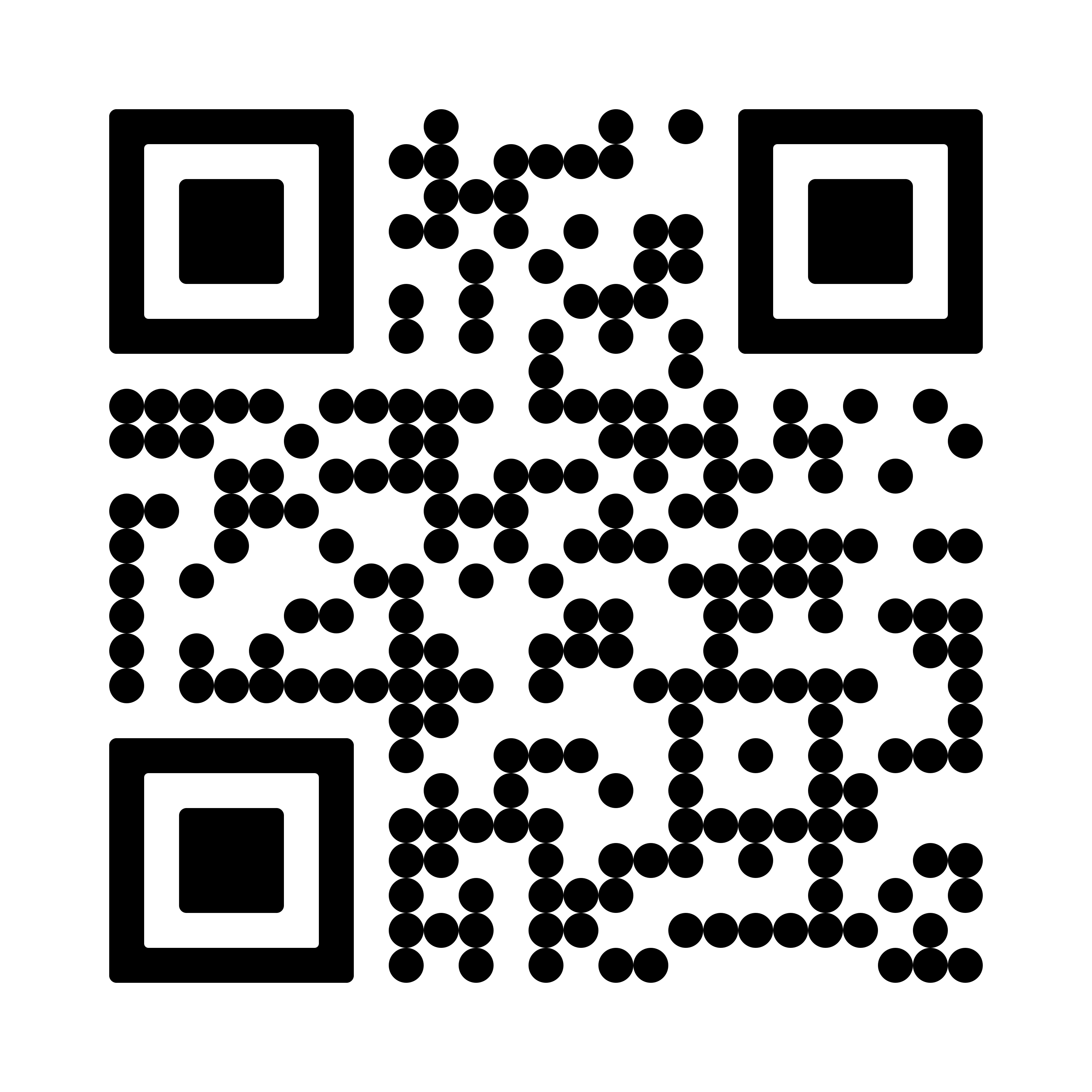PayPal QR